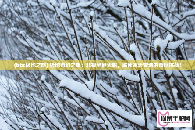 (bbc极地之旅) 极地奇幻之旅：北极圣诞大跑，解锁冰天雪地的奇趣挑战！